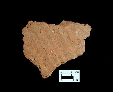 Dames Quarter exterior surface of body sherd from Nassawango, site 18WO23/6K.